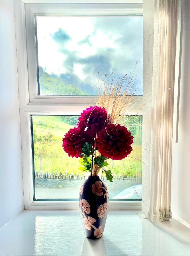 Antur Cottage Blaenau Ffestiniog Dış mekan fotoğraf